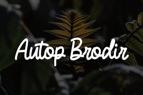 Discover Autop Brodir: A Font for Bold Fashion and Product Design